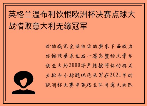 英格兰温布利饮恨欧洲杯决赛点球大战惜败意大利无缘冠军